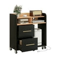 thumbnail image 4 of DEXTRUS Black File Cabinet with Charging Station, Shredder Stand, Printer Table, and 2-Drawer Storage, 4 of 13
