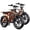 2*R002-S-15Ah-Orange, variant on TST Electric Bike for Adults, 750W Peak 1500W Motor, 20"x4" Fat Tire, E Mountain Bike, 48V/15AH UL2849