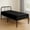 Black, variant on 1 PC Cot fitted sheet Size 25" x 75" Fitted Sheet, Made of Egyptian Cotton, Perfect for Camp Bunk Bed / RVs / Guest Bed'sBlack