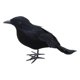 thumbnail image 1 of Cuervos con plumas negras de Halloween, decoración de cuervos artificiales aterradores hechos a mano de aspecto realista para fiestas, eventos, hogar, Estilo A, 1 of 8