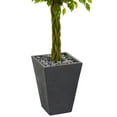 thumbnail image 3 of HomeStock 5Ft. Braided Mid-Century Marvel Artificial Tree In Slate Planter Uv Resistant (Indoor/Outdoor), 3 of 3