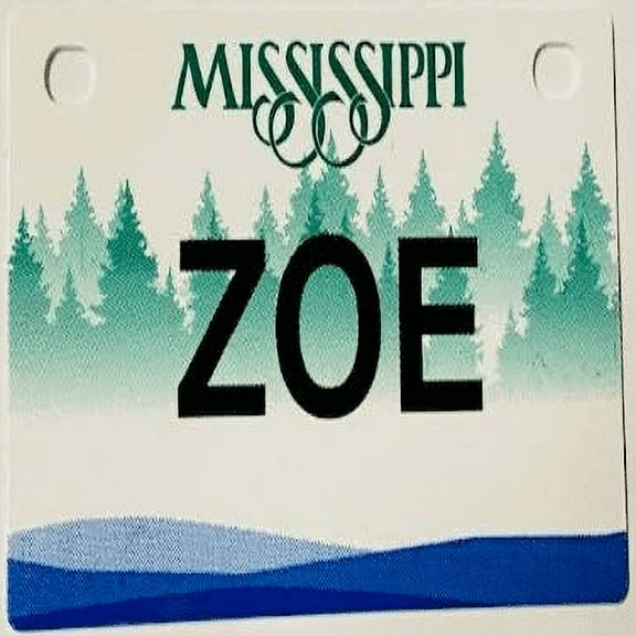 Zoe Mini Bike Plate Add On Accessory