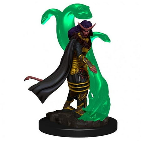 d&d sorcerer miniature