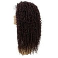 thumbnail image 3 of LUXLUXE Tierra Curly 19 in Long 4x4 Hand Tied Lace Braid Braided Wig, Beauty Heat Resistant Fiber, 20+ Shades of Natural, Dip Dyed, & Blended Colors, 3 of 7