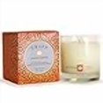 thumbnail image 3 of Trapp Collection Saisonnière Parfum Maison Bougie Parfumée 7oz - Fireside Citrouille, 3 of 4