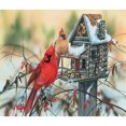 thumbnail image 1 of Cuadros Decorativos Diamond Painting 5D DIY Red Birds Full Round Drill Rhinestone Kit (V1253) Likrtyny embutido en tela, 1 of 6