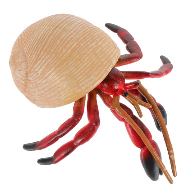 Crab Sea Hermit Figurines Realistic Animal Animals Life Simulation ...