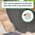 thumbnail image 5 of Ingenuity Every Season Rocking Seat - For Ages 0-30 Months, Unisex - Grey, 5 of 14