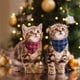 thumbnail image 5 of Bufanda extraíble, collar con bufanda para mascotas para gatitos, collar con lazo para gato, conjunto de bufanda triangular, 5 of 5