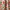 Turquoise_Tangerine, variant on Lush Decor Clara Room Darkening 84" x 52" + 2" Header Damask Turquoise 3" Rod Pocket 2-Pc Set Window Panel