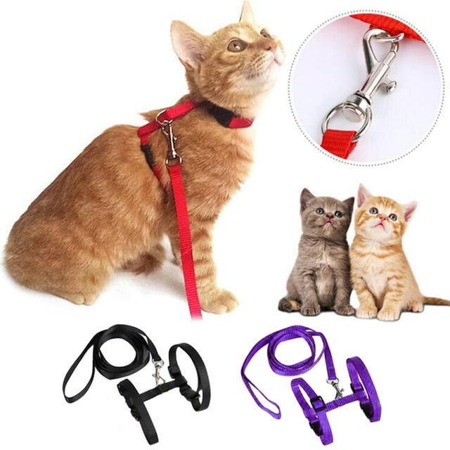 2 Ensembles de Laisses pour Animaux Harnais Ajustables Sangle en Nylon Robuste Laisses pour Chat avec Harnais pour la Marche