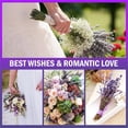 thumbnail image 5 of Dried Lavender Flower Bundle,200 Stems 16'' Preserved Lavender Bouquet,Dried Lavender,Dried Flower Bouquet for Home Decor,Vase,Crafts,Gift Wrap,Wedding, 5 of 7