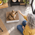 thumbnail image 6 of Kitten Starter Kit - 16 Cat Set Includes Litter Box, 6 of 7