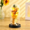 thumbnail image 4 of Matoen Preserevd Flowers, Fresh Flowers Bouquet in Glass Dome for Home Decor, Flowers for Delivery Gifts on Birthday, Valentine's Day, Mothers Day for Women, Mom Grandma (Yellow), 4 of 6
