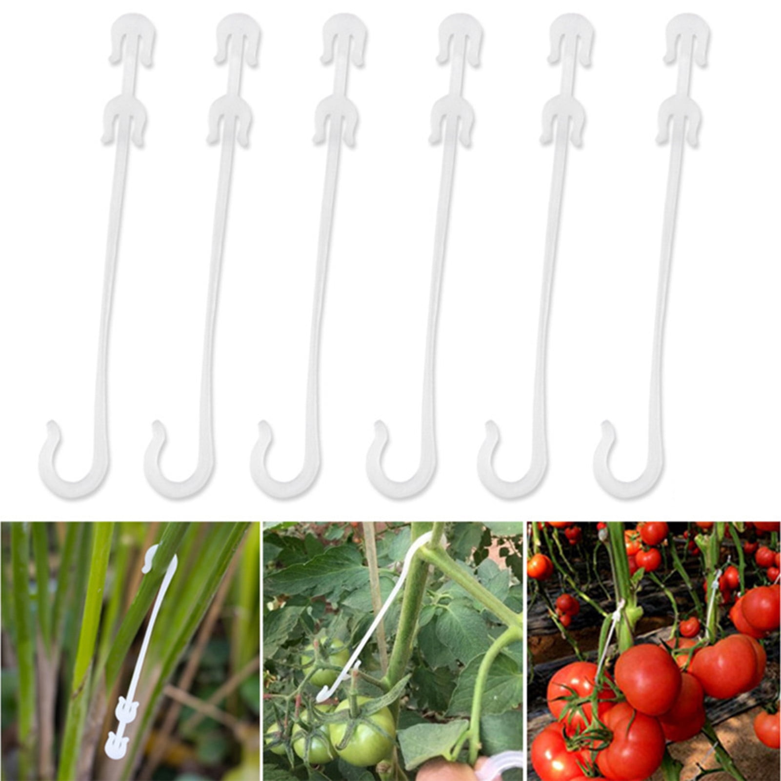 Essen 100Pcs Vine Hooks Reusable Portable Small Tomatoes Support JHook