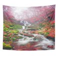 thumbnail image 1 of JSDART Famous Alpine Beautiful Waterfall Borzhava Under The Mountain Village Pylypets Ski Resort Cold Net Rough Wall Art Hanging Tapestry Home Decor for Living Room Bedroom Dorm 51x60 inch, 1 of 1