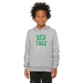 thumbnail image 2 of Daxton Youth Unisex Pullover Cities State Hoodie Mid-Weight Fleece Sweater - New York Heather Gray Green, XS, 2 of 3