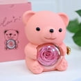 thumbnail image 2 of New Forever Rose Hug Bear Jewelry Box Preserved Real Rose Gifts Eternal Rose Box for Mom,Girlfriend,Women,Wife,Valentine's Day,Mother's Day,Birthday,Anniversary (with Double Heart Necklace), 2 of 7