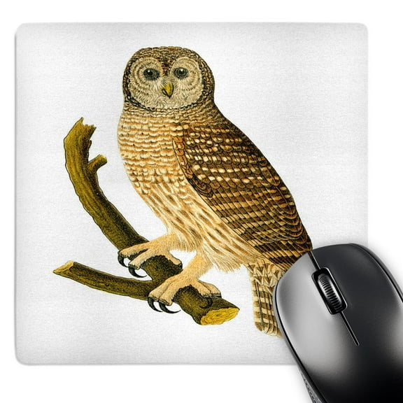 3dRose, Barn Owl On Branch, MousePad
