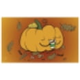 thumbnail image 2 of Legion Supplies LGNPLM092 Pumpkin Spice Play Mat, 2 of 2