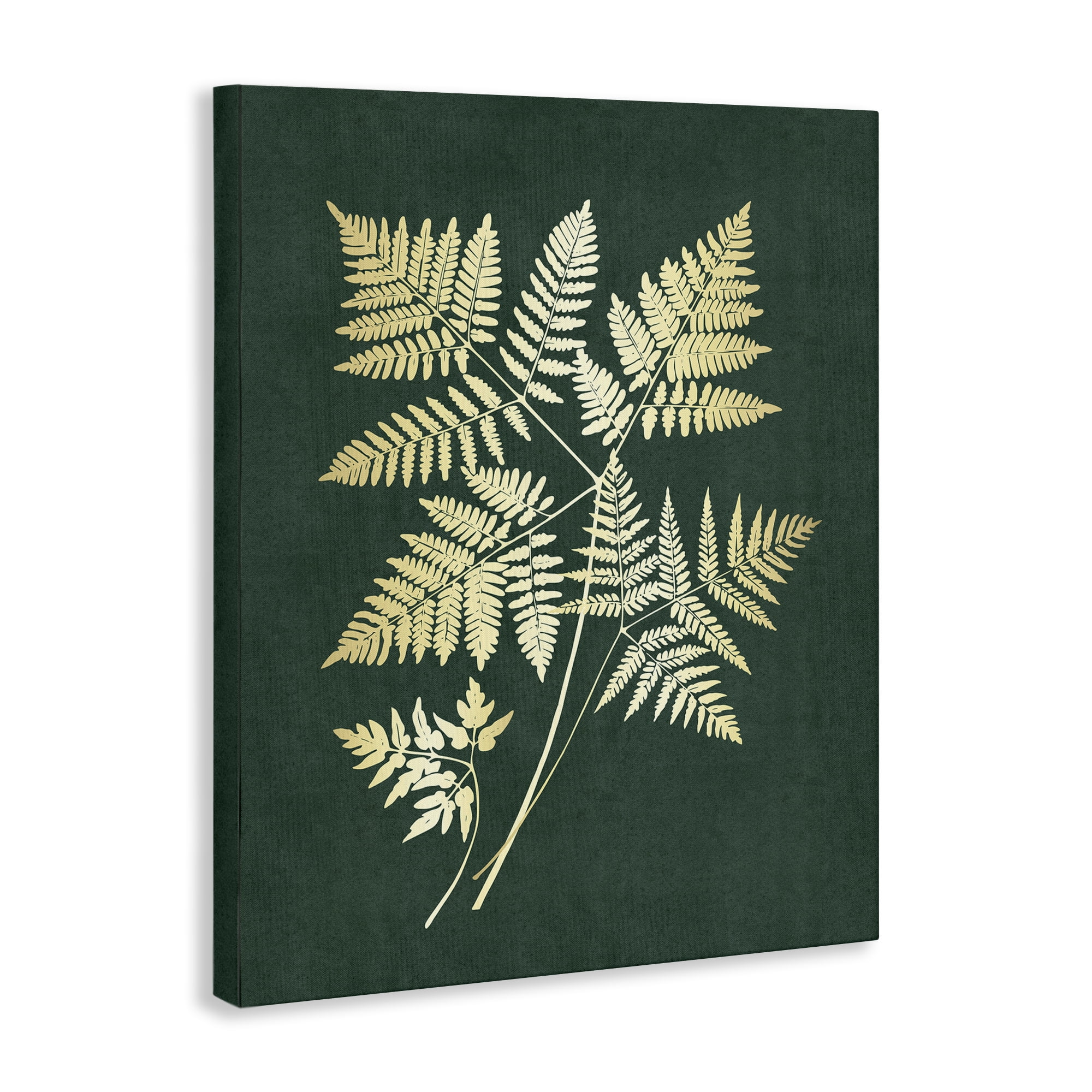 Stupell Industries Fern Leaves on Green Plants & Flowers Painting Wrapped Canvas Art Print Wall Art, 30 x 40