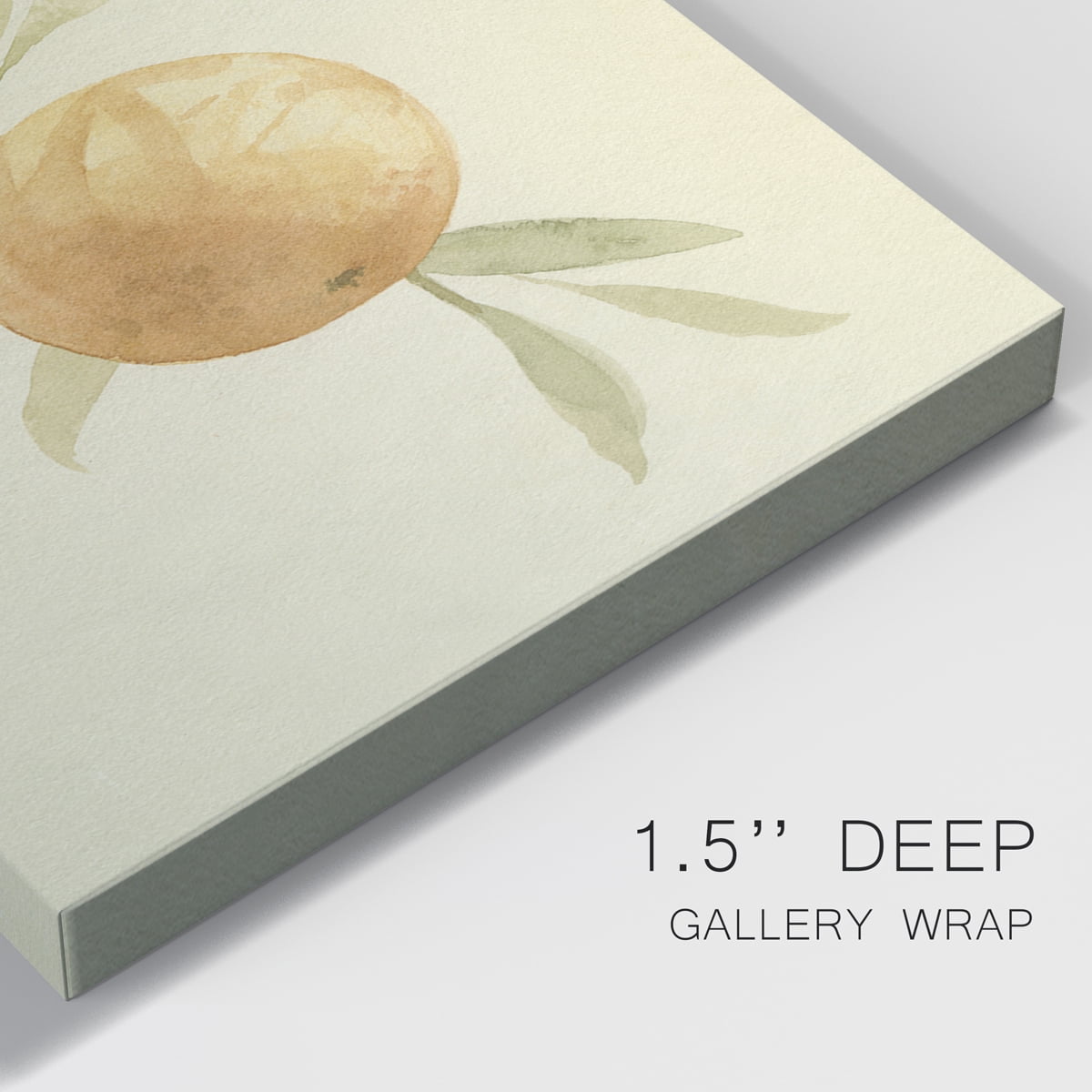 Dappled Oranges I Premium Gallery Wrapped Canvas - Ready to Hang - 12 x 18 Each