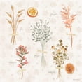 thumbnail image 3 of Grove, Beth 20x20 Black Modern Framed Museum Art Print Titled - Cottage Charm VIII, 3 of 5