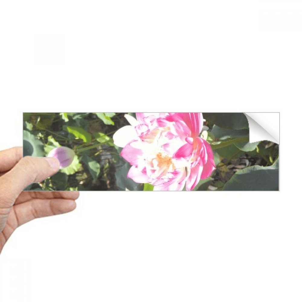 CafePress "We Got This" Rectangular Vinyl Sticker – Bumper Sticker Or Decal, Durable 4mil, Small Or Large Size