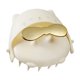 thumbnail image 1 of Scalp Massager Champú Cepillo 2024 Upgrade Scalp Scrubber Hair Washing Tool Masajeador del cuero cabelludo Cepillo del cuero cabelludo para la eliminación de la caspa Cabeza Scrubber Para, 1 of 5
