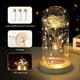 thumbnail image 3 of Rosa eterna de cristal con luz LED, regalo de rosa de belleza y animal para mamá, esposa, novia, esposa, flores de rosas artificiales en cúpula de cristal en el Día de San Valentín, 3 of 5