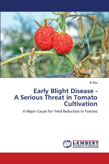 fire blight on tomatoes fire blight on tomatoes