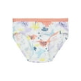 thumbnail image 6 of Fruit of the Loom Toddler Girl EverSoft Cotton Hipster Underwear, 10 Pack, Sizes 2T-5T, 6 of 10