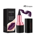 thumbnail image 4 of Fiudx Set de Labiales Mate, Acabado Aterciopelado de Larga Duración, Maquillaje a Prueba de Agua, 6 Opciones de Colores Vibrantes, Perfecto para Usar de Día y de Noche, Ideal para Todos Los Tonos de, 4 of 5