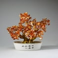 thumbnail image 4 of Genuine Carnelian Gemstone Bonsai Tree in Oval Ceramic Pot (8"), 4 of 5