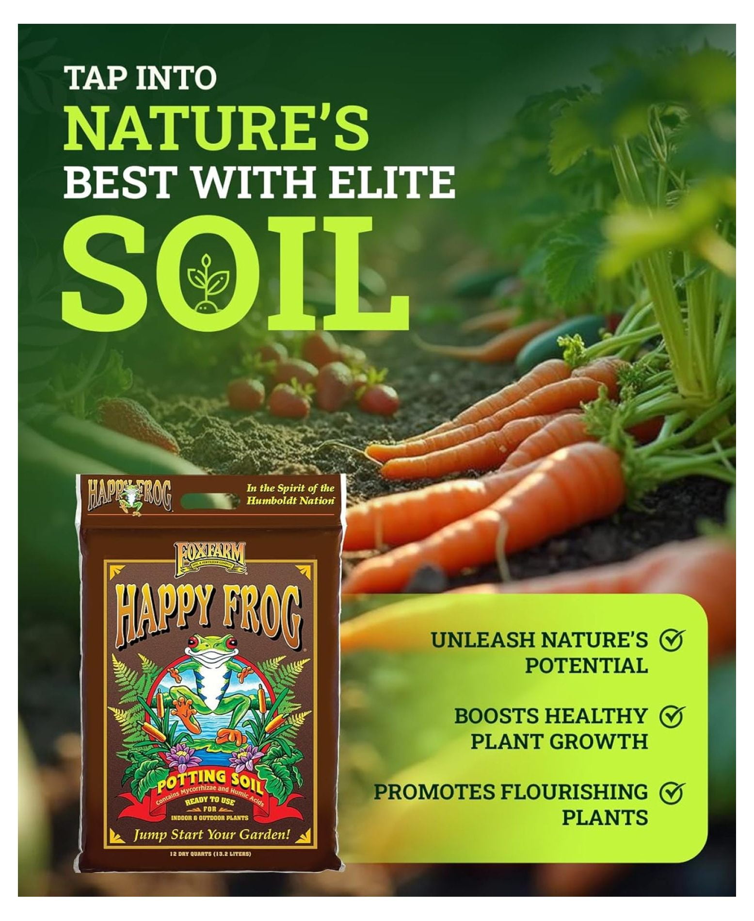 Happy Frog Potting Soil, 12qt – for Indoor/Outdoor Container Plants, Improves Root Efficiency, pH Adjusted for Optimal Nutrient Uptake – Contains Microbes and Humic Acids (Pack of 2)