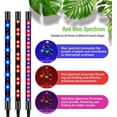 thumbnail image 4 of Luz de cultivo LED de 80 W con soporte para plantas de interior, luz de planta con temporizador, 80 LED, 4 cabezales de espectro completo con control remoto para plántulas, verduras y flores, 4 of 5