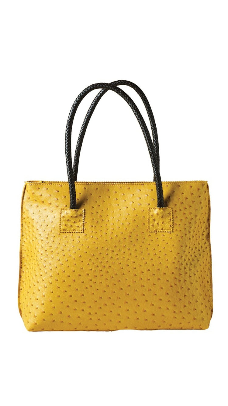 tote with zip