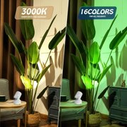 Wallfire 2Pack RGBW Up Lights Indoor with Remote Control, 6W 16 Color Changing Uplighting Indoor Spotlights,for Painting Artwork US 2 Plug 6 FT Power Cord
