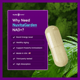thumbnail image 5 of NAD Supplement with NR & Green Tea Extract + Astaxanthin, NAD+ Anti-Aging Cellular Energy Support, 60 Capsules, 5 of 7