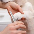 thumbnail image 4 of Pet Dog Nail File, Half Moon Puppy Nail Claw File Nail Polish Cat Claw Care with Easy Grip Handle, Animal Pedicure, 4 of 5