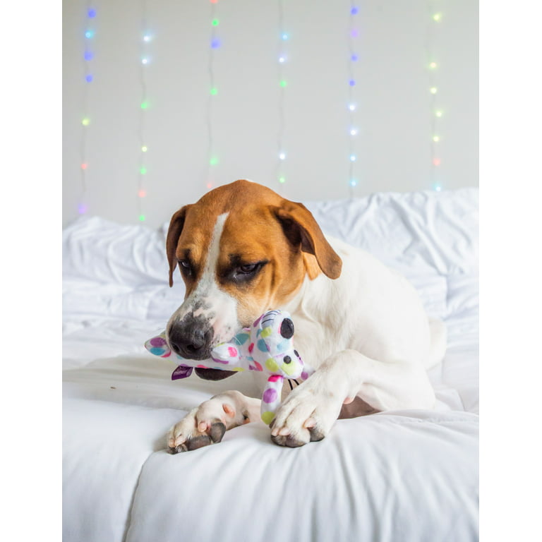 Multipet Plush Smiling Loofa Dog Toy, Small, Pastel Polka Dot