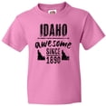 thumbnail image 3 of Inktastic Idaho Awesome Since 1890 Youth T-Shirt, 3 of 5