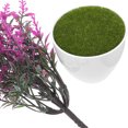 thumbnail image 3 of 2 bonsáis artificiales en maceta, simulación realista, decoración de bonsái, planta falsa en maceta, 3 of 6