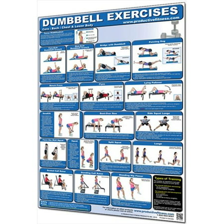 Productive Fitness CDLL Dumbbell Core, Back, Chest and Lower Body -