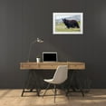 thumbnail image 3 of Archer, Ken 24x17 White Modern Wood Framed Museum Art Print Titled - Black Bear-Big Boar, 3 of 4