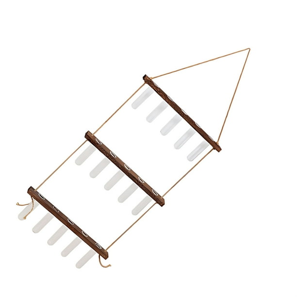 Terrario de planta de tubo de ensayo Billuyoard para colgar en la pared estilo retro