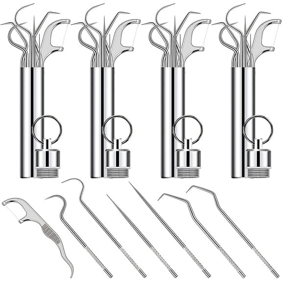 7Pcs 4 Set Stainless Steel Toothpick Set, Reusable Metal Toothpicks for Teeth, Portable Toothpick Pocket with Holder, Tooth Cleaning Kit for Traveling Home Outdoor Camping Picnic, Silver