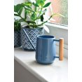 thumbnail image 2 of Gardener's Supply Company Pinpoint Indoor Watering Can - Blue, 2 of 6