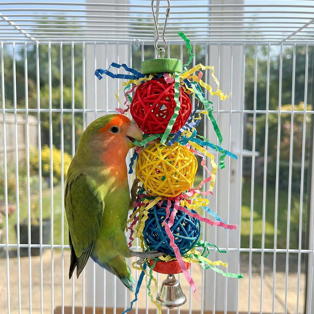6 PCS Bird Toys - Foraging, Shredding & Hanging Toys, Shredding Parakeet Toys with Rope Perch
