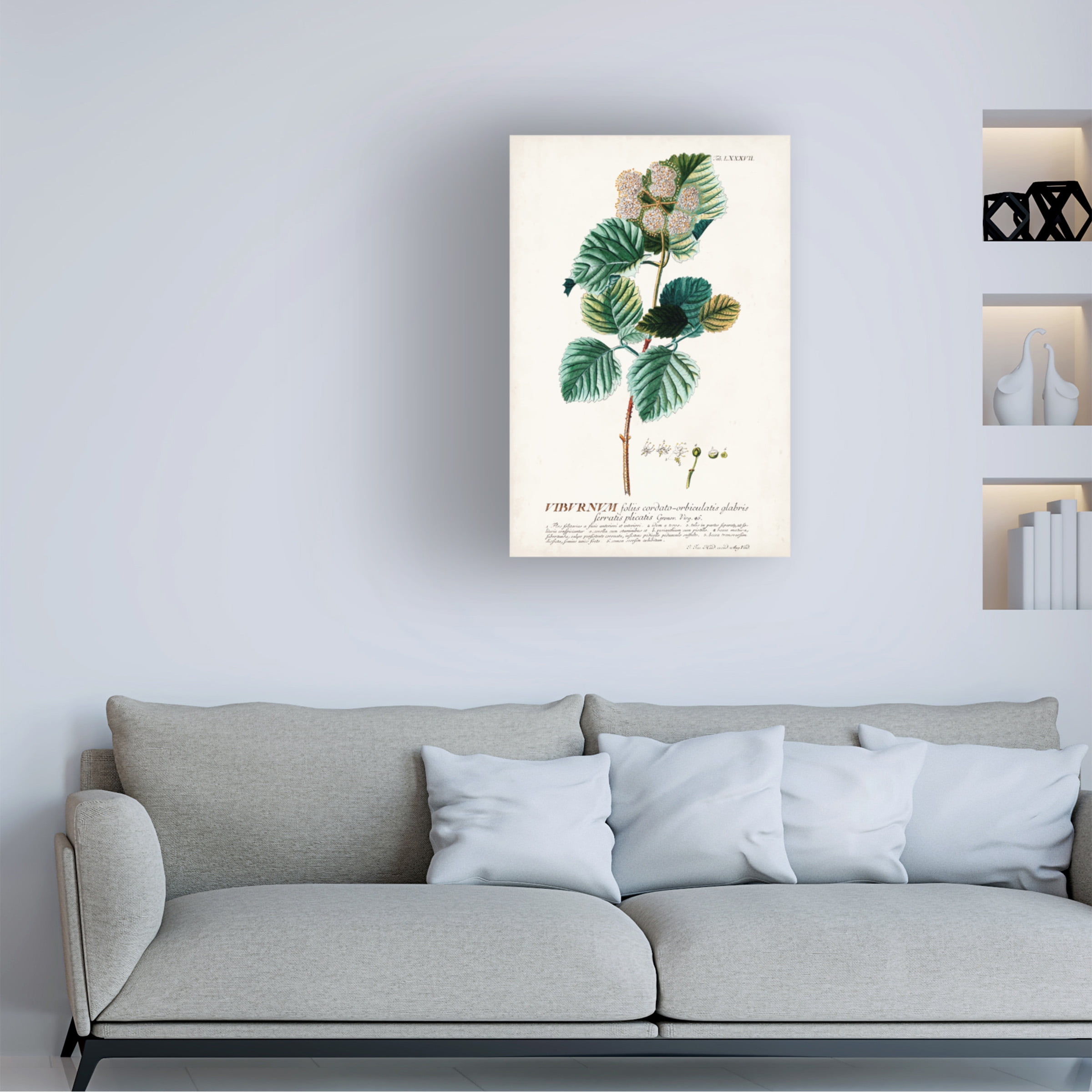 Unknown 'Alluring Botanical IX' Canvas Art